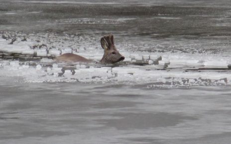 HZS Zlínského kraje